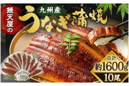 鰻天屋の九州産うなぎ 蒲焼 10尾 セット 1尾約160g 福岡県北九州市 ふるさと納税サイト ふるなび