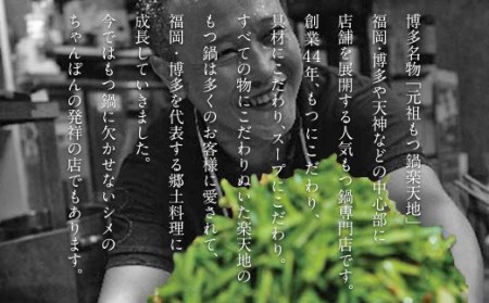 創業46年｢元祖もつ鍋楽天地｣ 新もつ鍋 2～3人用 セット 醤油味 ちゃんぽん麺入り