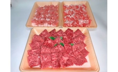 九州産 黒毛和牛 厚切 （ 焼肉 用 ） & 福岡県産 きび豚 ロース ・ バラ しゃぶしゃぶ 用 セット