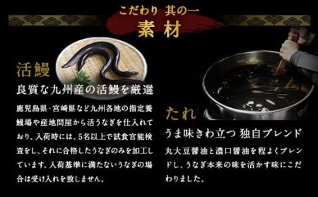 【3ヶ月定期便】鰻天屋の 九州産 うなぎ 蒲焼 約140g×2尾 セット
