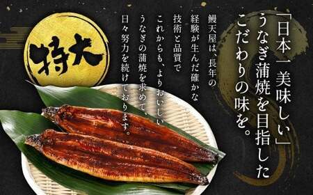 九州産 うなぎ 蒲焼 特大 4尾 計880g以上 (1尾あたり220～235g)