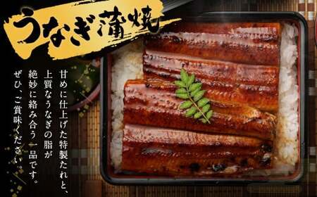 鰻天屋の九州産うなぎ 蒲焼 10尾 セット (1尾あたり160～189g)