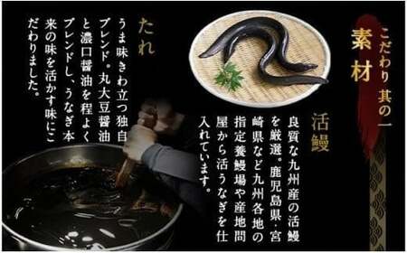 鰻天屋の九州産うなぎ 蒲焼 10尾 セット (1尾あたり160～189g)