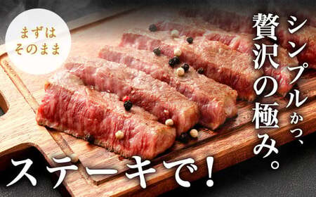 【6ヶ月定期便】 九州産 黒毛和牛 モモステーキ 約2.4kg (約200g×2枚×6回) 牛もも肉 ステーキ 牛肉 お肉 国産 日本産
