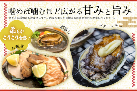 【3月発送！】活蝦夷あわび×5個[46-1344]