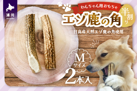 エゾ鹿の角 Mサイズ×2本(半割)[54-1366]