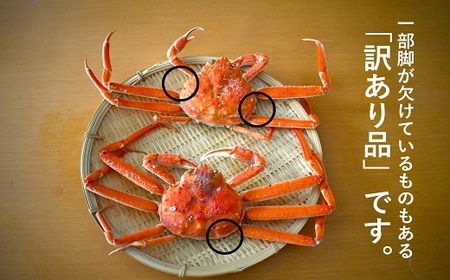 訳あり 活オオズワイガニ約7kg(約28～30尾入)[02-1411]