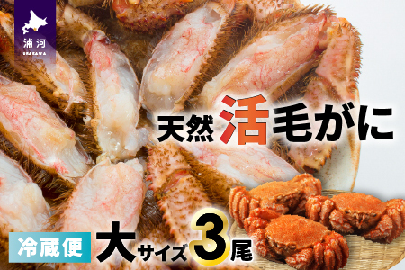 【今が旬！】漁協の活毛がに 大サイズ３尾※日付指定対応不可※[02-1420] 9,250円