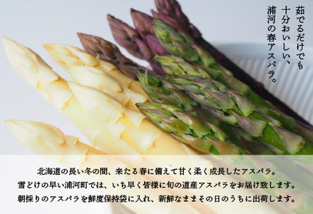 【4月上旬頃より発送！】北海道浦河産 ホワイト＆パープル極太セット(1kg)[03-1437]