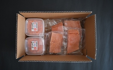 北海道日高産「塩いくら」＆「チェリーサーモン」刺身柵セット各4P[01-1545]