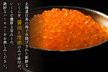 【時鮭スモークサーモン付】北海道日高産 いくら醤油漬小分けパック(60g×14)[15-547]