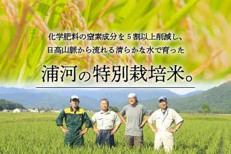 【令和5年産】浦河の特別栽培米「きたくりん」精米(5kg×2袋)[28-552]