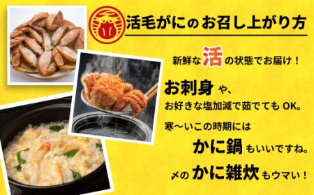 【先行受付開始！】漁協の活毛がに 中サイズ３尾セット※日付指定対応不可※[02-176]