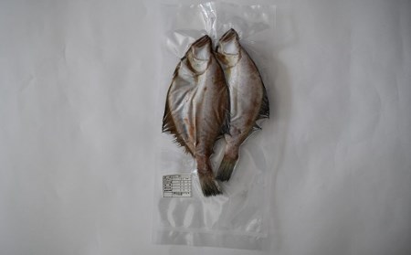 漁協の地魚一夜干し 宗八カレイ 中サイズ(6尾入)[02-865]
