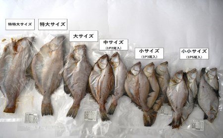 漁協の地魚一夜干し 宗八カレイ 小サイズ(9尾入)[02-867]