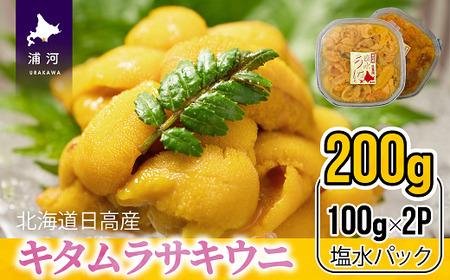 今が旬 塩水ムラサキウニ 北海道日高産 100g 2パック ご家庭用 B02 302 北海道浦河町 ふるさと納税サイト ふるなび