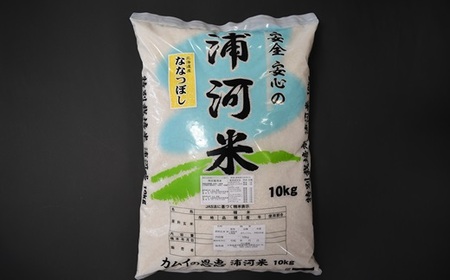 【令和5年産】浦河の特別栽培米「ななつぼし」精米(10kg×1袋)[37-1026]