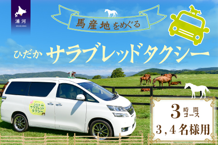 馬産地をめぐる「ひだかサラブレッドタクシー」3時間(3,4名様)コース[41-1103]