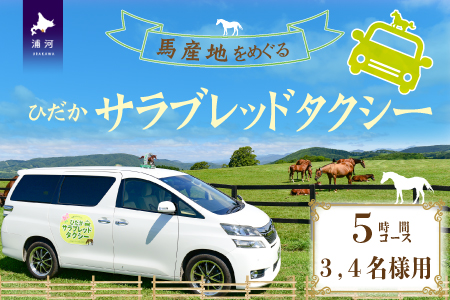 馬産地をめぐる「ひだかサラブレッドタクシー」5時間(3,4名様)コース[41-1105]