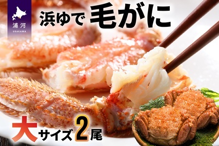 【今が旬！】漁協の浜ゆで毛がに 大サイズ２尾セット※日付指定対応不可※[02-776]