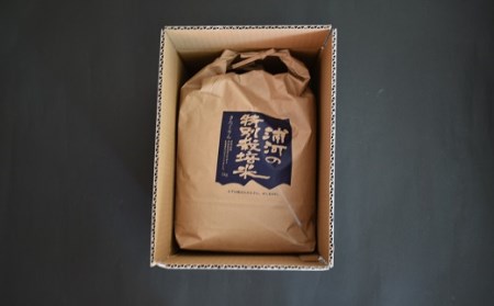 【令和5年産】浦河の特別栽培米「きたくりん」精米(5kg×2袋)定期便(全3回)[28-1209]