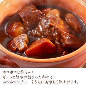 旨味たっぷり牛角 博多和牛 煮込み用 500g