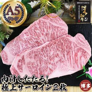 肉汁したたる 極上 サーロインステーキ２枚 (合計500g) 博多和牛A5ランク