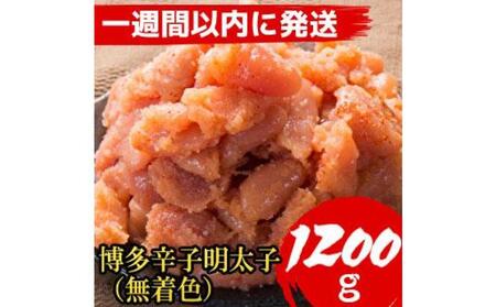 【1週間以内に発送！】【1200g!】博多辛子明太子(並切子破れ) (無着色)(4パック分）