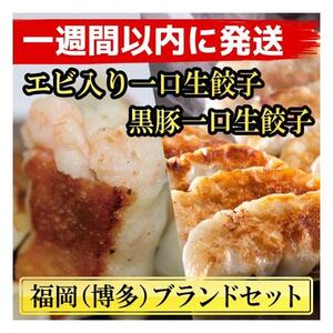 【1週間以内に発送！】計130個　福岡ブランド　博多黒豚一口生餃子と博多エビ入り一口生餃子セット