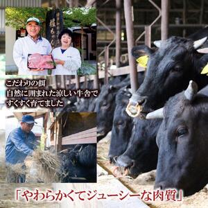 福岡県産 黒毛和牛A4ランク以上の博多和牛！ 3か月定期便 Dコース