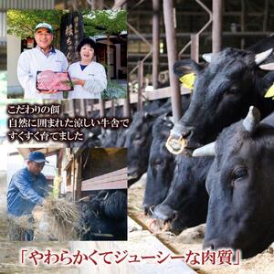 福岡県産 黒毛和牛A4ランク以上の博多和牛！ 極上食べ比べセット