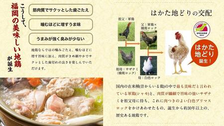 はかた地どり美人水炊き　2～3人前