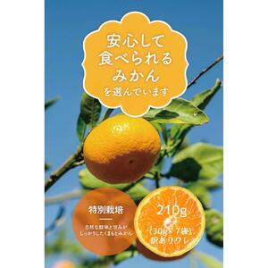 【福岡市】【訳あり（割れ/端っこ）】【お試し】無添加 みかんチップス 30g×7個