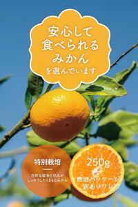 【福岡市】【訳あり（割れ/端っこ）】無添加 みかんチップス250g