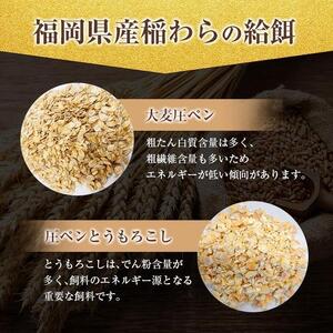 博多和牛肩ロース＆ウデ・肩スライス400g×2種