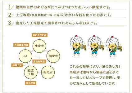 【夢つくし・元気つくし】福岡2大ブランド米　食べ比べセット　10kg