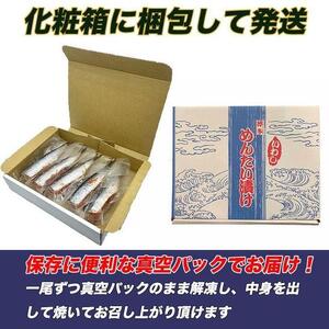 博多名物 いわし明太子 10尾 ( 5尾 x 2 )