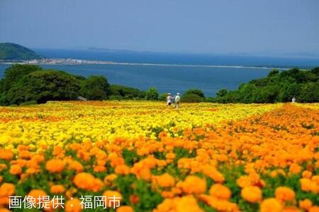 福岡県福岡市 日本旅行 地域限定旅行クーポン15,000円分