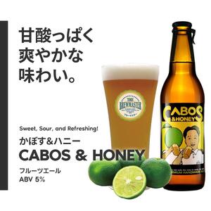 福岡市発クラフトビール　ブルーマスター　5種バラエティセット　330ml×8本