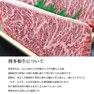 【博多和牛】黒毛和牛特選ももステーキ(500g)