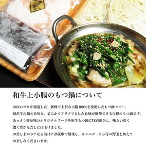博多もつ鍋セット 醤油味(600g)