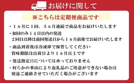 【定期便 3回】老舗博多皿うどん店よりお届け 福新楼の冷凍博多皿うどん　2食入り×3回（計6食）