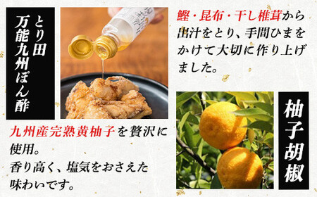 とり田水炊きセット【4人前】×2