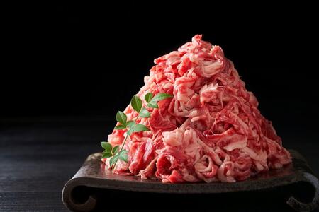 【全9回定期便】博多和牛切り落とし　500ｇ