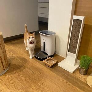 ペットフードテーブル　carving SS（福岡市内製造）（ガラスボウル付き）