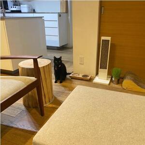 ペットフードテーブル　carving SS 2連（福岡市内製造）（ガラスボウル付き）