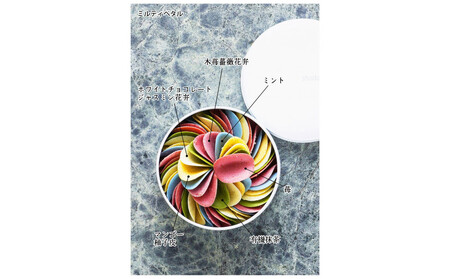 -洋菓子2点セット- 花びらのような6色のチョコレート【ミルティペタル】と、可愛い全8種類【グルテンフリー】マドレーヌグラデーション詰め合わせ＜福岡市＞