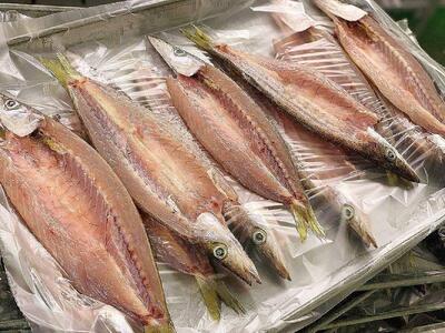 【全6回定期便】昔ながらの製法で作った干物詰合せ　全6種22枚×6回