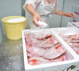 【全12回定期便】昔ながらの製法で作った干物詰合せ　全6種22枚×12回