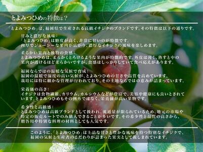 <2026年8月以降発送>とよみつひめ 4パック約1200gセット(福岡市)